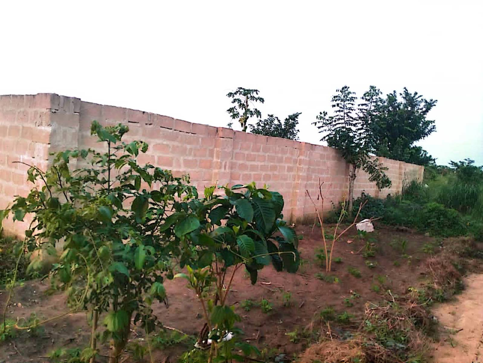 511sqms plot of land for sale at Mbak Road
